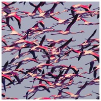 Deftones - Gore - CD